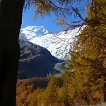 Alpenfirn