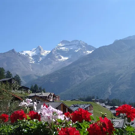 Alpenfirn Apartment *