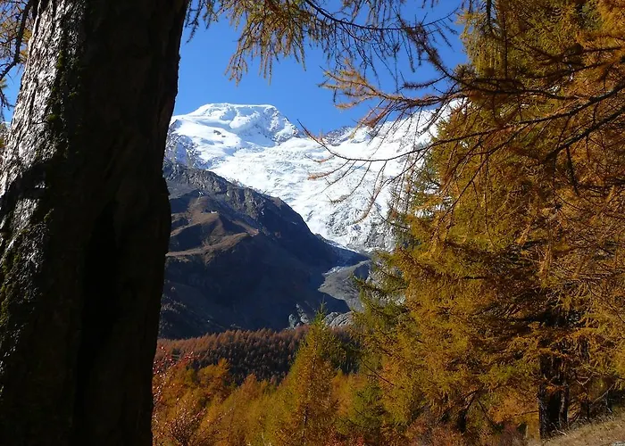 Alpenfirn